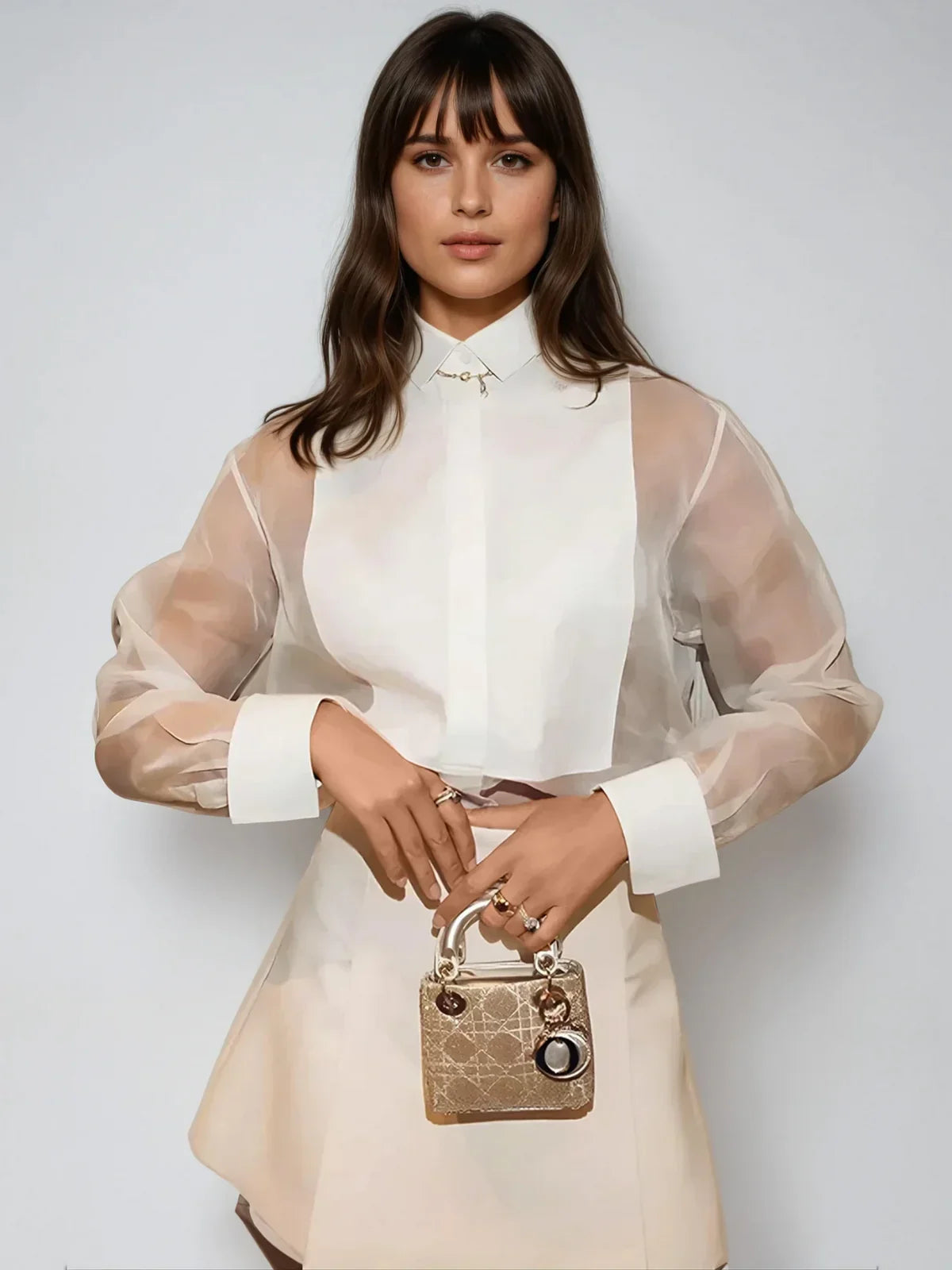 Puff Sleeve Lapel Organza Transparent Top - LA FEMME WANDERER