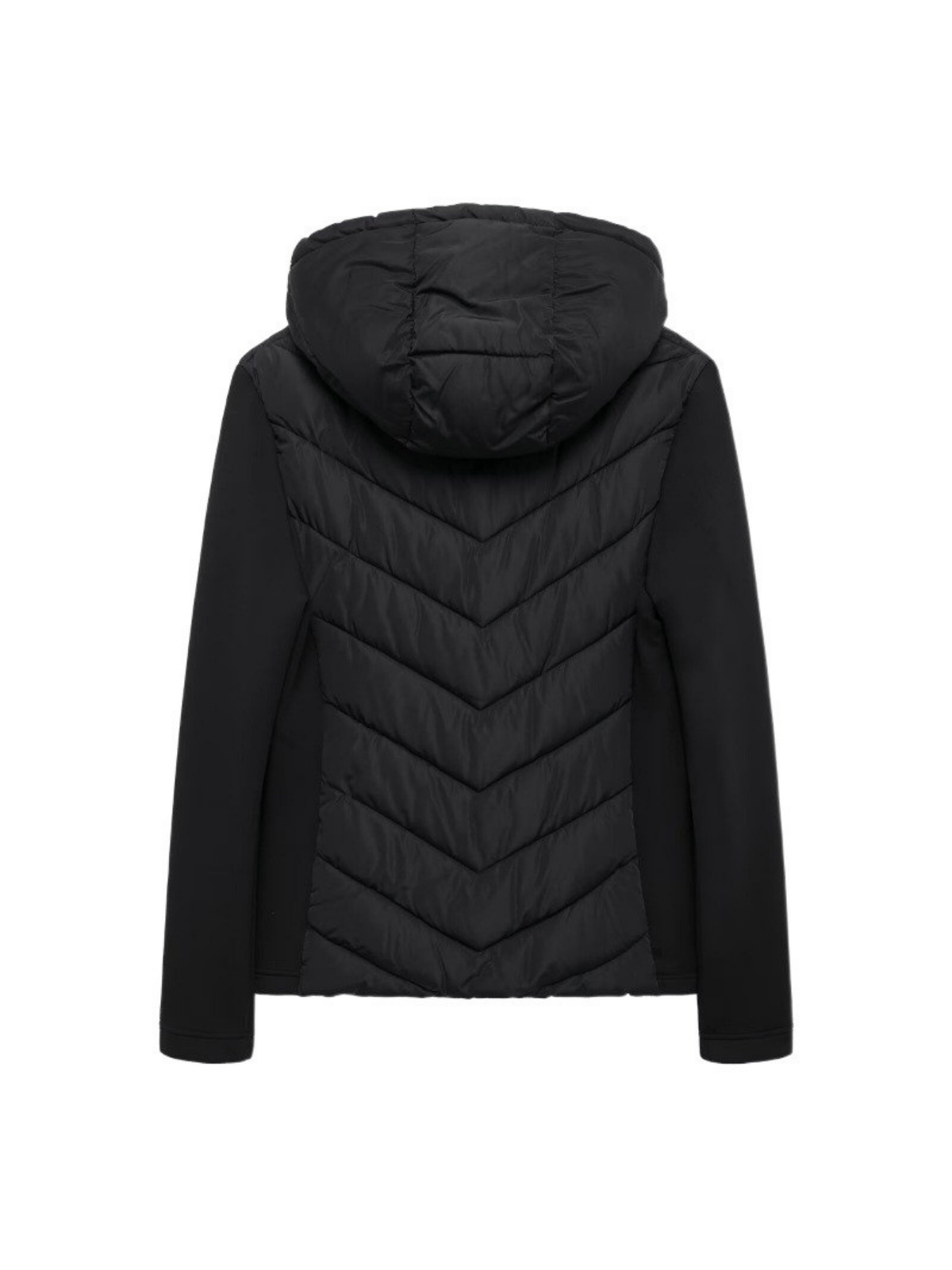 Cotton Padded Coat With Stand Up Collar For Casual Wear